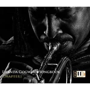 Lwanda Gogwana avatar