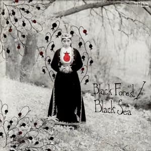 Black Forest / Black Sea avatar