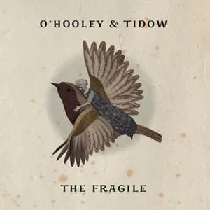 O'Hooley & Tidow avatar