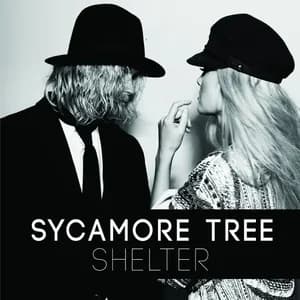 Sycamore Tree avatar