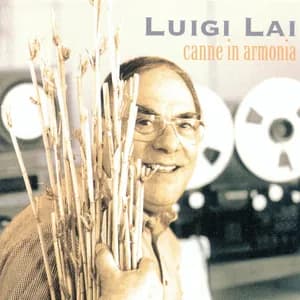 Luigi Lai avatar