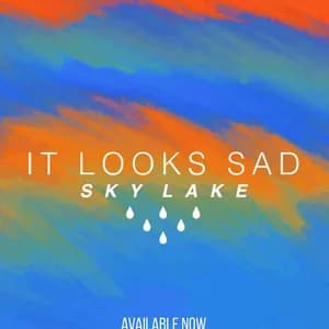 It Looks Sad. avatar