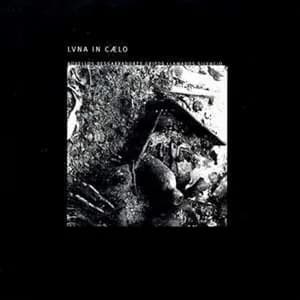 Lvna in Cælo avatar