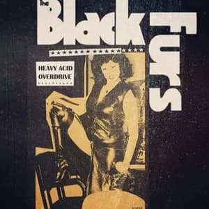 The Black Furs avatar