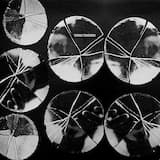 Attack of the Junkie