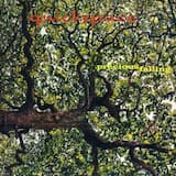 Goodbye Precious Mountain