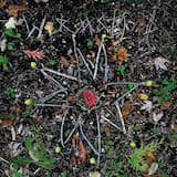 Queen of the Highway