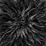 We Are All Just Wanderers in Oblivion