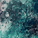 Mechanist & Ancestral Landscapes - Porphyra (Ancestral Landscapes Version)