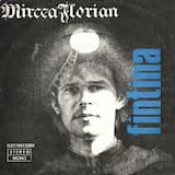 Păsările Din Palmă