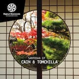 Santosha (Ebony Willis remix)