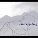 Waiting For Disaster (The Airplane Song)