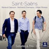 Sonata for Violin and Piano no. 1 in D minor, op. 75: II. Allegro molto