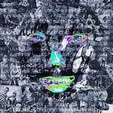 The Neighbour Is a Bitch