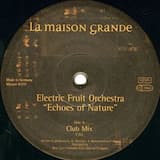 Echoes of Nature (radio mix)