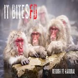 Turning the Sky Into Fire