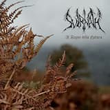 Svanendo nella nebbia...